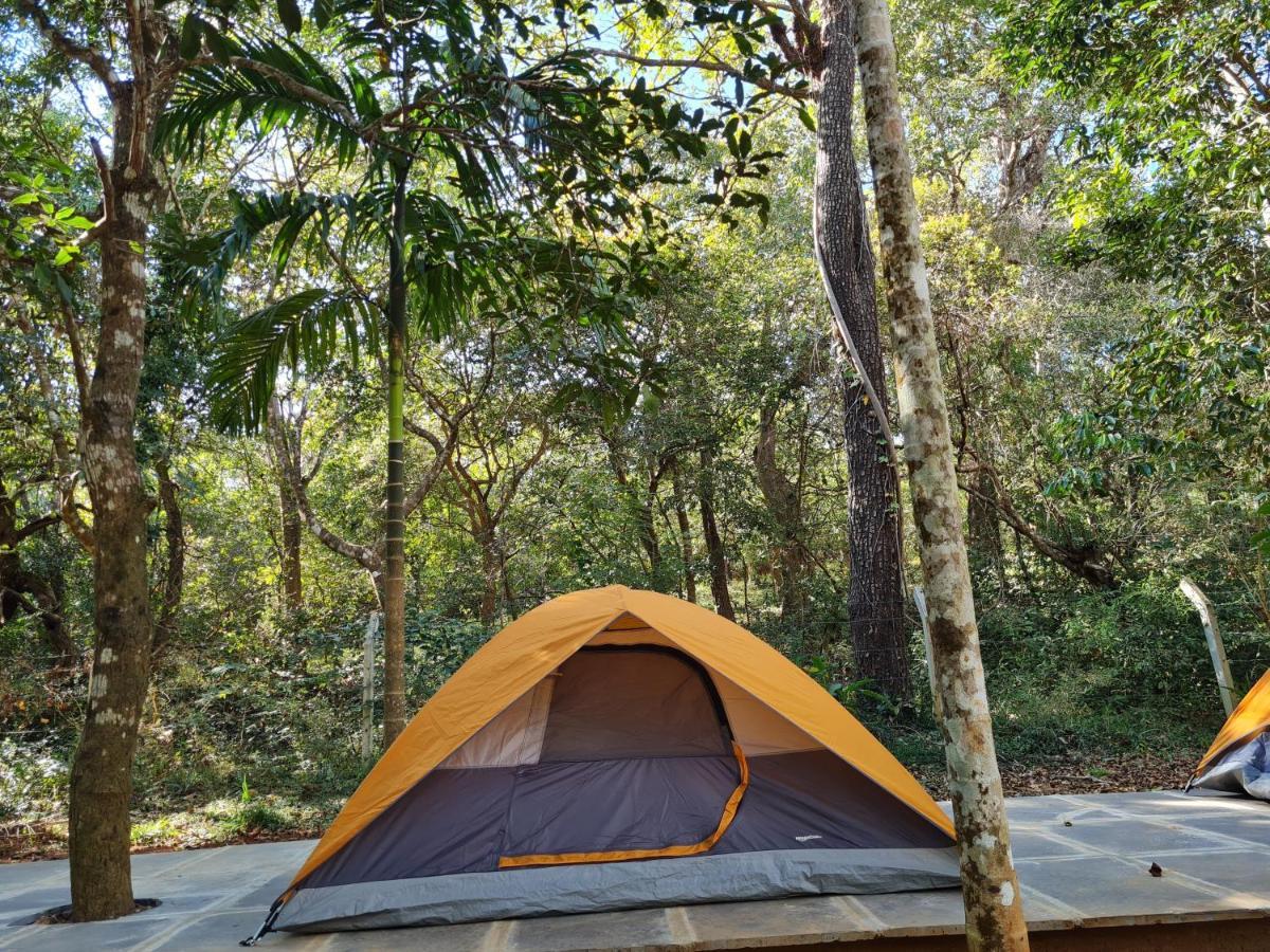 Captain'S Camp Sirsi Exteriér fotografie