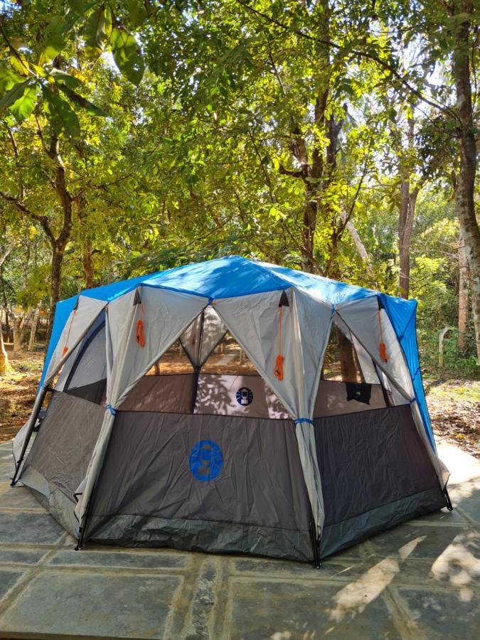 Captain'S Camp Sirsi Exteriér fotografie